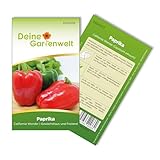 Paprika California Wonder Samen - Capsicum annuum - Paprikasamen - Gemüsesamen - Saatgut für 30 Pflanzen