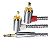 MLWSKERTY Haltbarkeit Metallkerne 3 5 Mm Hilfsmittel Bis 2RCA Kabel Mit Leichtem Design Für Einfache Portabilität Für Heimaufbauten
