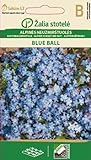 Seklos LT | VERGISSMEINNICHT BLUE BALL | Mehrjährig Pflanze | Blumensamen | Mit langer Blühdauer | 1 Pack