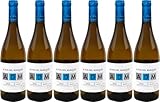 Cerrolaza Altos del Marqués Blanco Rioja DOCa 2024 Trocken (6 x 0.75 l)