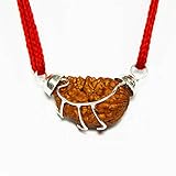 Choose Your Original Lab Certified Rudraksha 1 to 13 Mukhi Ganesha Gauri Shankar Silver Plated Rudraksha Pendant Jewellery for Men and Women, Holz, Kein Edelstein