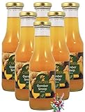 [ 6x 300ml ] CARMEN Ingwersirup / Ingwer- Sirup + ein kleiner Glücksanhänger gratis