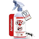 KRAFTKÖNIG PREMIUM Ameisenspray - Sofort + Effektiv Formel - 500ML Ameisen Spray - Alternative zu Ameisengift und Ameisenköderdose - Besser als Jede Ameisenfalle