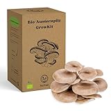 PilzWald GrowKit - Speisepilze selber züchten - Pilzzucht Set für Anfänger mit Sprühflasche & Bilder-Anleitung Pilzzuchtset für Haus und Garten (Austernpilz)