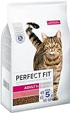 PERFECT FIT Adult Trockenfutter für erwachsene, aktive Katzen ab 1 Jahr - Rind, 7 kg (1 Beutel)