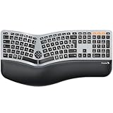 ProtoArc EK01 Plus Ergonomische Tastatur Kabellos Beleuchtet, Full Size Ergo Funktastatur mit Handballenauflage, Wireless Split Keyboard, Bluetooth und USB, Kompatibel mit Windows/Mac/Android