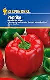 376 Kiepenkerl Premium Paprika Samen | Frühreifend | Paprikasamen | Großfruchtig | Paprika Samen alte Sorten | Paprika Saatgut | Paprika Rot Samen