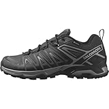 Salomon Herren X Ultra Pioneer Gore-tex Hiking Shoe, Phantom Black Quiet Shade, 42 2/3 EU