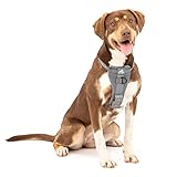 Kurgo TRU-Fit Autosicherheitsgeschirr für Hunde, Mit gepolstertem Brustteil und D-Ring, Mit Autogurt, Größe M, Grau