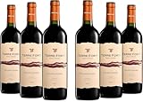 Terre Forti Negroamaro Puglia IGT, Italienischer Rotwein mit Rundem und Vollem Geschmack mit Noten Schwarzer Früchte, 12,5 % Vol., Karton mit 6 Flaschen mit jeweils 750 ml