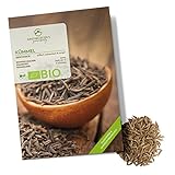 BIO Kümmelsamen - Küchenkräuter Saatgut aus biologischem Anbau ideal für den heimischen Kräutergarten, Balkon & Garten (400 Korn)