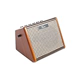 Fame AG-15A Akustikgitarren Verstärker 15 Watt | 2-Kanal | Akkubetrieben | Bluetooth-Schnittstelle | Echo-Effekt | Ideal für Gitarre und Gesang | Leicht und Tragbar