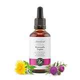 BitterKraft! Alkoholfrei BIO Bitterstoffe Tropfen nach Hildegard von Bingen | hochdosierte Bittertropfen | 9 erlesene Bitterkräuter | 100% Natur (50ml)