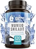 Shilajit Kapseln - 500mg pro Kapsel - 120 Hochdosierte Kapseln - Mumijo Shilajit Extrakt - natürlicher Mumijo Shilajit Extrakt mit 10:1 Konzentration - reich an Mineralien mit Fulvinsäure+Huminsäure