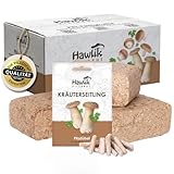 Hawlik Pilzbrut – Kräuterseitling Pilzbeet-Set – Kinderleicht Kräuterseitlinge selbst züchten im eigenen Garten – Pilze züchten Set – Ideales Pilzzuchtset für den Garten