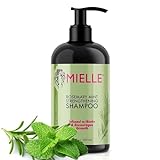 P-Beauty Rosmarin Minze Shampoo, mit Biotin 355ml - stärkendes Haarshampoo - Shampoo für Haarwachstumm & Haarausfall - Haarpflege & Kopfhautpflege - Stärkungsshampoo - Schuppenshampoo