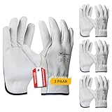 Gebol Driver, 3 Paar Arbeitshandschuhe aus hochwertigem Leder, Handschuhe Herren für Bau, Garten & grobe Arbeiten, hohe Widerstandsfähigkeit, 1,1 mm Lederdicke, Sicherheitshandschuhe Gr. M (Gr. 8)