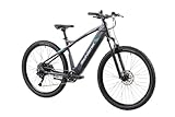 F.lli Schiano E-Mercury, E Bike Mountainbike, 29 Zoll, 36V 15Ah Abnehmbarer Akku, Motor 250W 55Nm, MTB Ebike für Herren/Damen, Grau-Grün