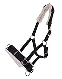 ARBO-INOX Kappzaum Halfter Nylonhalfter Longierhalfter QHP 4 Farben und 4 Grössen Größe Full Warmblut