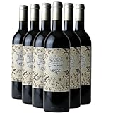 L'intégrale Rotwein 2020 - Les Frères Moine - französischer Wein - Süd-West Frankreich - Rebsorte Gamay, Alicante Bouschet, Cabernet Sauvignon - 6x75cl