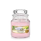 Yankee Candle Duftkerze im Glas (klein) | Sunny Daydream | Brenndauer bis zu 30 Stunden | Garden Hideaway Kollektion