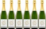 Wey Riesling Winzersekt 2023 Trocken (6 x 0.75 l)