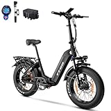 ttgo E Bike Klapprad, 20 Zoll Elektrofahrrad für Herren mit 36V 25AH Abnehmbarem Akku, 4.0 Fat-Tire Mountain Ebike mit 250W Motor und Drehmomentaufnehmer Reichweite 100-120KM, F6 (Schwarz)