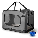 Juskys Hundetransportbox Lassie M faltbar & tragbar 42x60x44 cm mit Decke, Tasche & Griffen - Faltbare Transportbox für Hunde, Katzen & Haustiere - Oxford Stoff Hundebox Auto Hundetasche - Grau