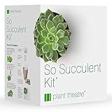 Plant Theatre So Succulent Kit - Gift Seed Kit with Super Succulent Plant Varieties to Grow, So Easy to Care for!