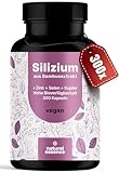 Silizium Komplex - 300 Kapseln mit 500mg Silicium mit Zink, Kupfer und Selen - Kieselsäure aus Bambusextrakt - Beliebt bei Frau Haarausfall - Haarvitamine - Vegan und produziert in Deutschland