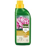 Pokon Blühpflanzen-Flüssigdünger, Pflanzennahrung, Blumendünger für alle Blüh- bzw. Blütenpflanzen, 500 ml, grün