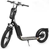 Elektro Scooter mit Straßenzulassung ABE E-Scooter Elektroroller eKFV Zulassung Faltbar Roller EScooter (Schwarz - 12,5 Ah)