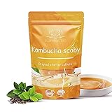 KombuChic | Kombucha Scoby Starter-Set Teepilz + Zubereitungstipps, Grundrezeptsanleitung + kostenloses eBook