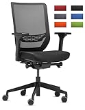 Trendoffice to-sync pro, ergonomischer Bürostuhl, mit Armlehnen, modernes Design, Homeoffice, umweltzertifiziert, by Dauphin (Schwarz, Netz-Rückenlehne)