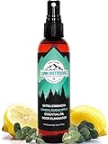 Lumi Outdoors Schuhdeo-Spray & Geruchsbeseitiger - Natürliches Schuhspray gegen Geruch - Extra Starke Wirkung mit Eukalyptus-Zitronengras