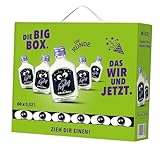Kleiner Feigling | Das Original | Feinster Wodka und fruchtiges Feigenaroma | Perfekt für Junggesellenabschied | Big-Box 60 x 0,02l | 20% vol.