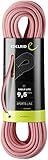 EDELRID Eagle Lite Seil 9,5mm x 70m rot