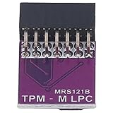 TPM 2.0 Modul erweitertes Sicherheitssystem für PC -Benutzer