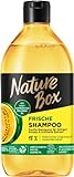 Nature Box Shampoo Frische (385 ml), Shampoo für fettigen Ansatz & trockene Spitzen, Haarshampoo mit kaltgepresstem Melonen-Öl, Flasche aus 100 % recyceltem Social Plastic