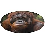 Orang-Utan Foto-Teppich, rund, weich, saugfähig, Badematte, Eingangsbereich, rutschfest, Bauernhaus, 80 x 80 cm, für Schlafzimmer, Wohnzimmer, Heimdekoration