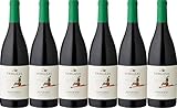 Teruzzi Peperino Toscana IGP 2022 Trocken (6 x 0.75 l)