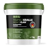 GreenPet Teufelskralle Hunde, Pferde & Katzen 1 kg – Unterstützt Gelenkfunktion & Agilität, natürliches Gelenkpulver aus reiner Teufelskrallenwurzel ohne Zusätze
