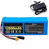 YUWYP 48V 12AH E-Bike Li Battery Waterproof Battery for Scooter Power Tools Electric Tricycle Moped Scooter with BMS+ 54.6V Charger