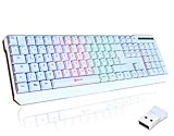KLIM Chroma Wireless Gaming Tastatur Kabellos QWERTZ DEUTSCH - NEU - Langlebig, Ergonomisch, Wasserdicht, Leise - RGB Kabellose Tastatur Gaming für PC PS4 PS5 Mac - Weiß