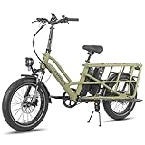 Fafrees Longtail E-Bike 20 * 3.0 Zoll, E-Lastenrad 250W 25km/h, ebike Damen 12Ah*2 Akku, E-Fahrrad 75N.m Reichweite 100-140km, Tragkraft 200kg (Standard, Grün)