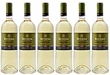 Retsina Lafazanis 6x 0,75l | Geharzter Weißwein aus Griechenland | 11% Vol. | + 20ml Jassas Olivenöl