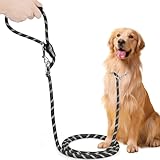 Unverschämt robuste Hundeleine für große und mittelgroße Hunde (15-60 kg) - 3m Verstellbare Doppelleine & Freihandleine aus Nylon mit Reflektierend Tragfähigkeit bis zu 200 kg