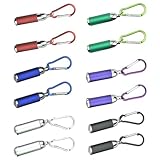 BNGXR 12 Stück Mini LED Taschenlampe,Taschenlampe mit Schlüsselanhänger Tragbar Aluminiumlegierung Kinder Taschenlampe Taschenlampe für Outdoor Camping Radfahren