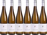 SCHILD.WEIN Grauburgunder 2024 Trocken (6 x 0.75 l)