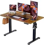 ErGear Elektrisch Höhenverstellbarer Schreibtisch 120 x 60 cm, Schreibtisch Höhenverstellbar mit 4-Gedächtnis-Smart-Pult für Home-Office mit Verbindungsplatte